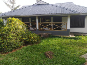 Precious Home stays